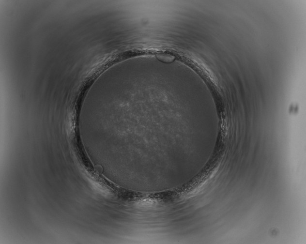 X0000100370593200806061157