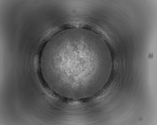 X0000100370594200806061157