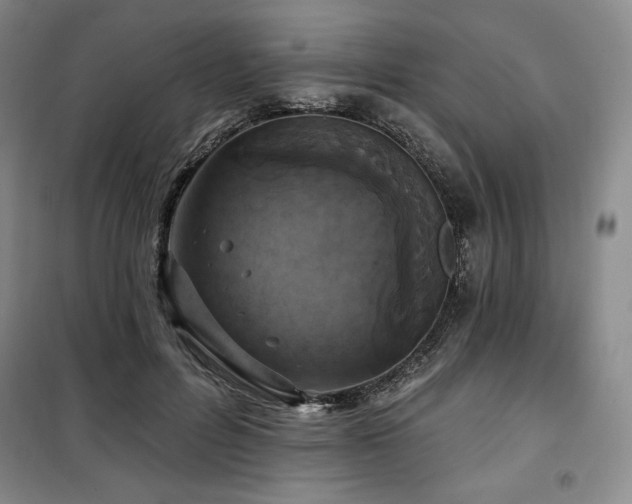 X0000100370600200806061157