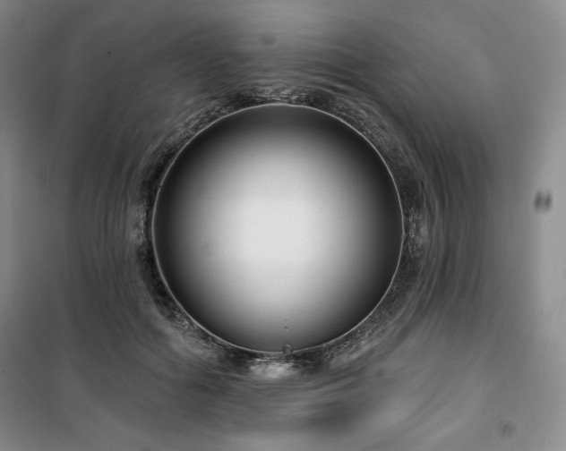 X0000100370602200806061157