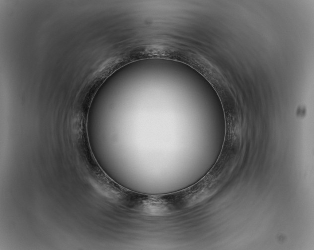 X0000100370603200806061157