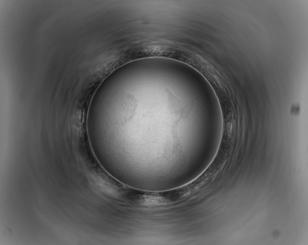 X0000100370605200806061157