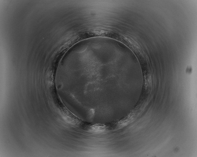 X0000100370606200806061157