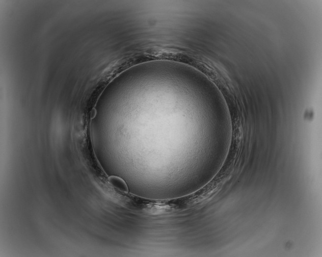 X0000100370607200806061157