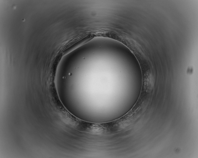 X0000100370608200806061157