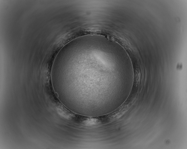 X0000100370609200806061157