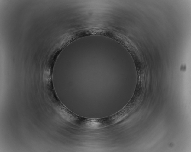 X0000100370610200806061157