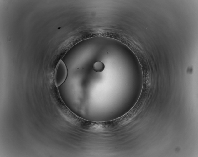 X0000100370611200806061157