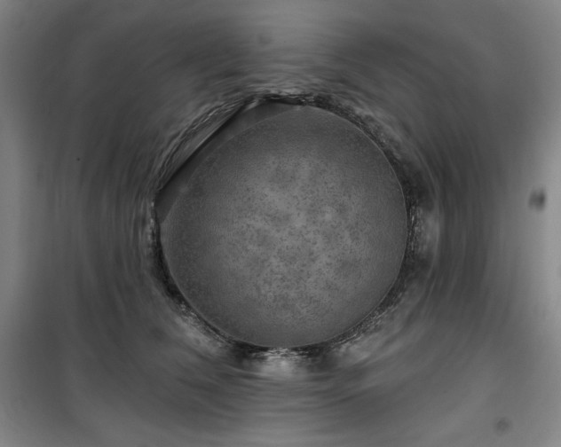 X0000100370612200806061157