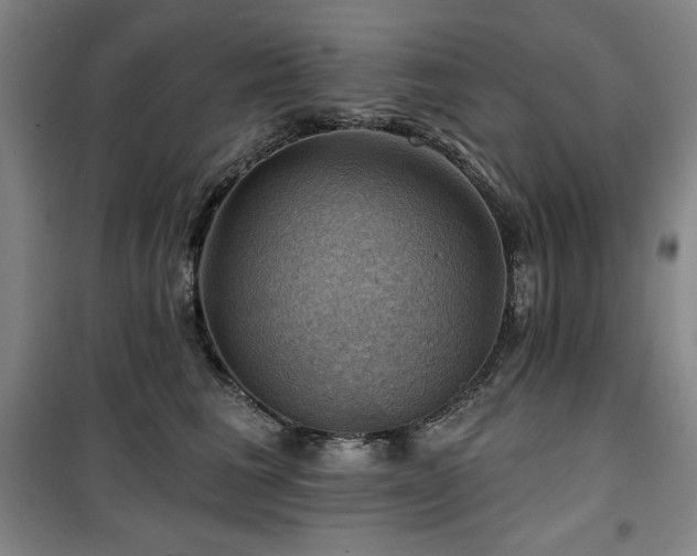 X0000100370613200806061157