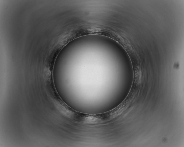 X0000100370614200806061157