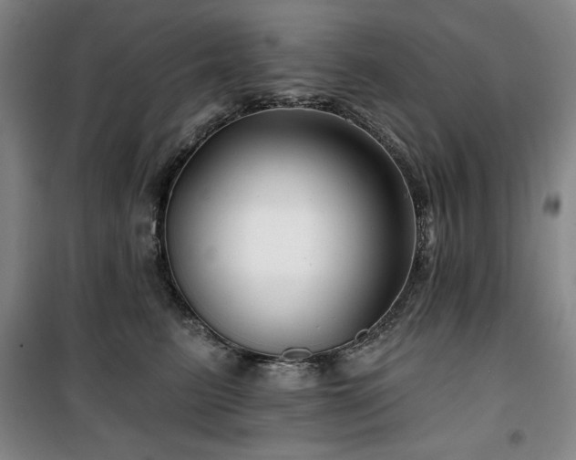 X0000100370615200806061157