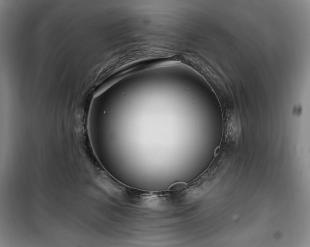 X0000100370616200806061157