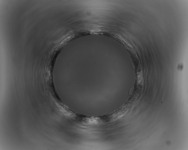 X0000100370618200806061157