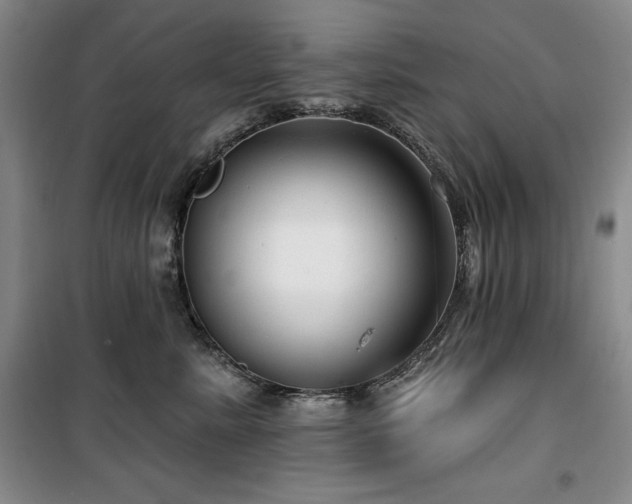 X0000100370619200806061157