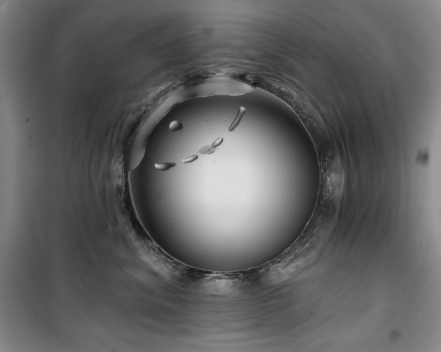 X0000100370620200806061157