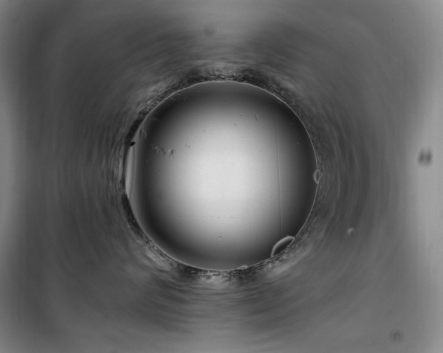 X0000100370624200806061157