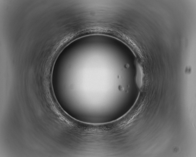 X0000100370625200806061156