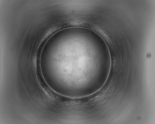 X0000100370626200806061156