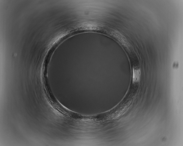 X0000100370627200806061156