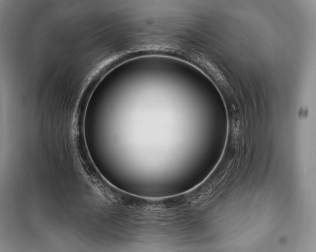 X0000100370628200806061156