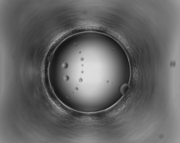 X0000100370629200806061156