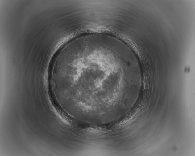 X0000100370630200806061156