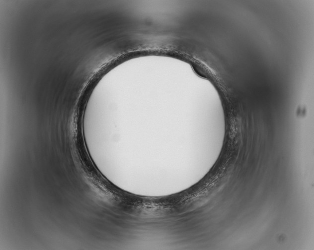 X0000100370632200806061156