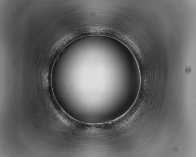 X0000100370633200806061156