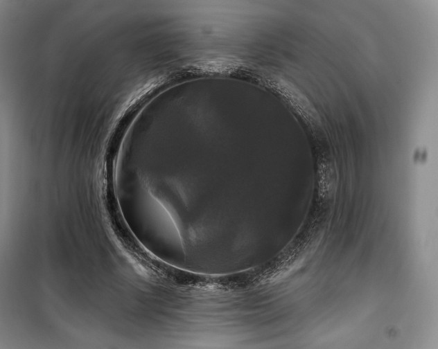 X0000100370634200806061156