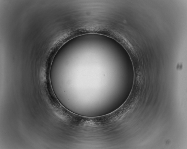 X0000100370635200806061156