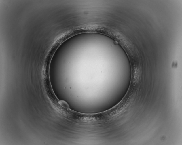 X0000100370636200806061156