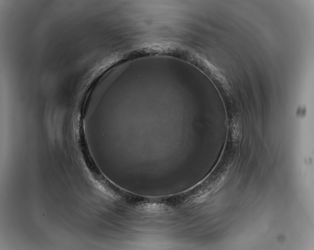 X0000100370637200806061156