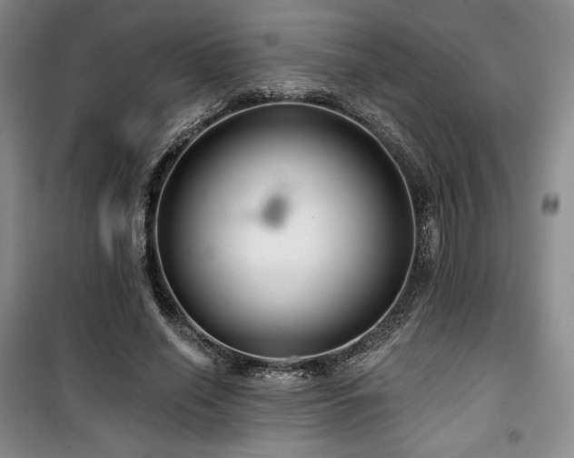 X0000100370638200806061156