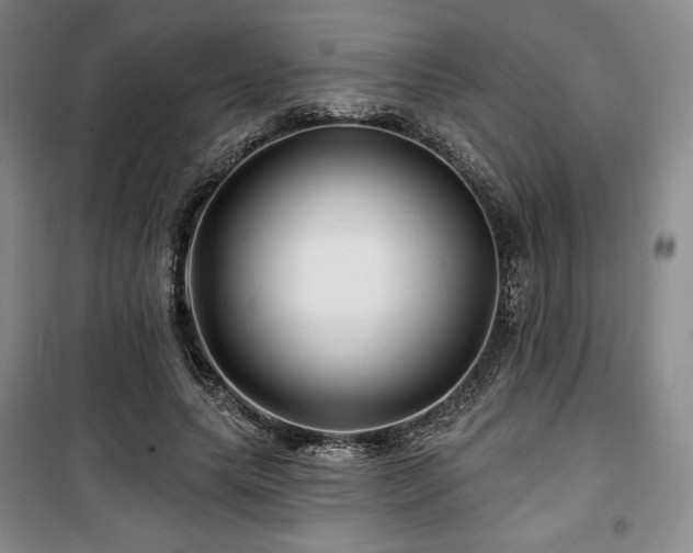 X0000100370639200806061156