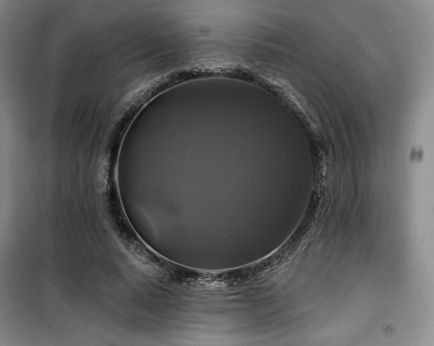 X0000100370640200806061156