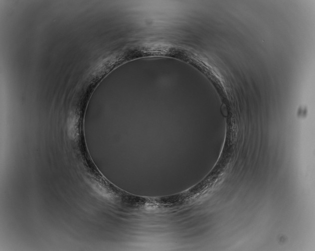 X0000100370641200806061156