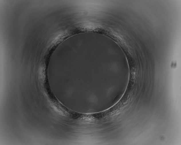 X0000100370642200806061156