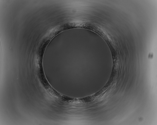 X0000100370643200806061156