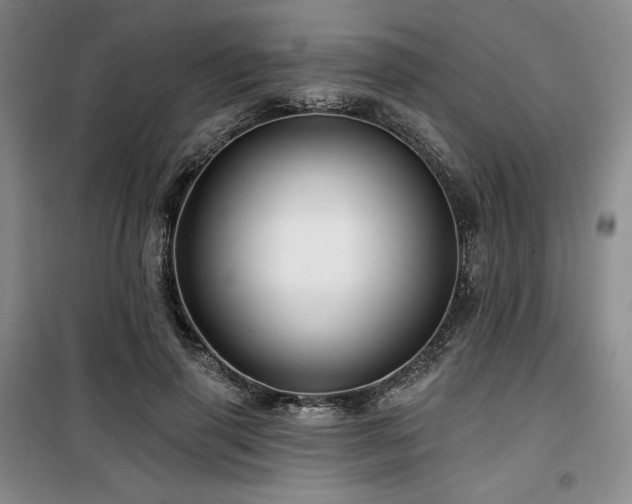 X0000100370645200806061156