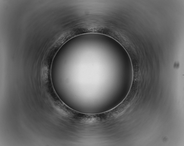 X0000100370646200806061156