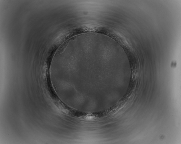 X0000100370647200806061156