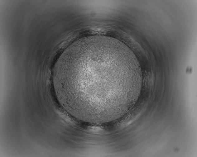 X0000100370649200806061156