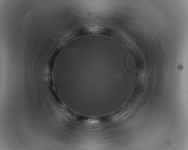 X0000100370651200806061156