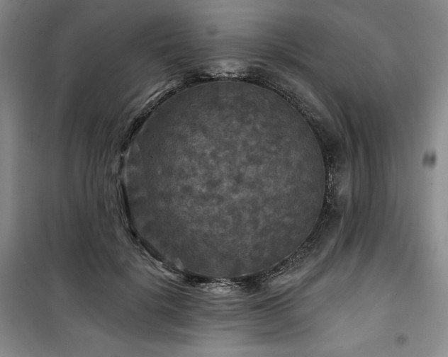 X0000100370652200806061156