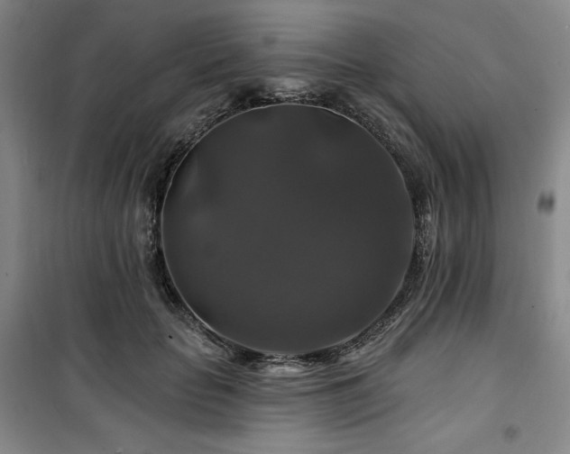 X0000100370653200806061156