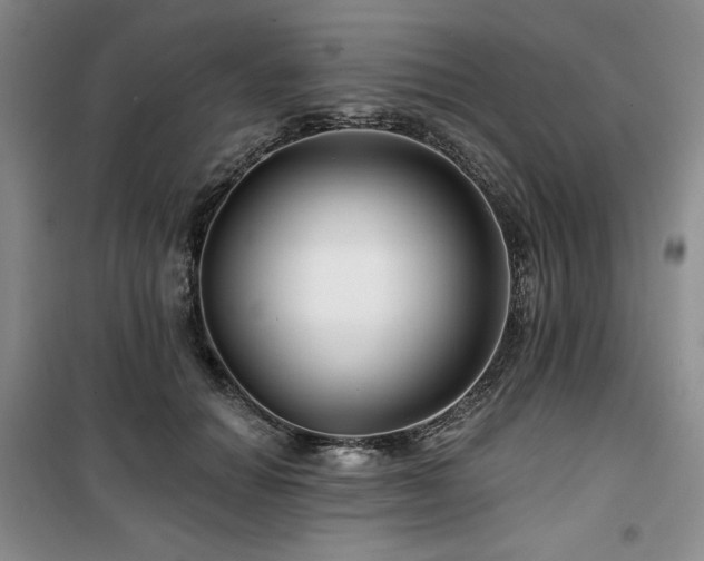 X0000100370654200806061156