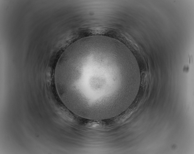 X0000100370655200806061156