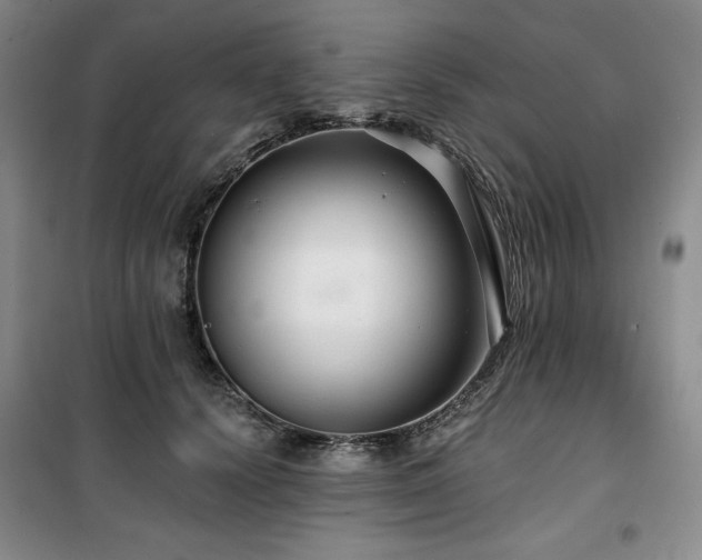 X0000100370656200806061156