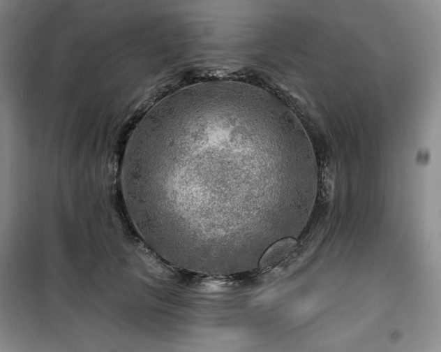 X0000100370657200806061156